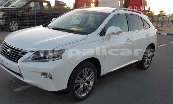 Buy Import Lexus RX 350 White Car in Import - Dubai in Bagmati Buy Import Lexus RX 350 White Car in Import - Dubai in Bagmati
