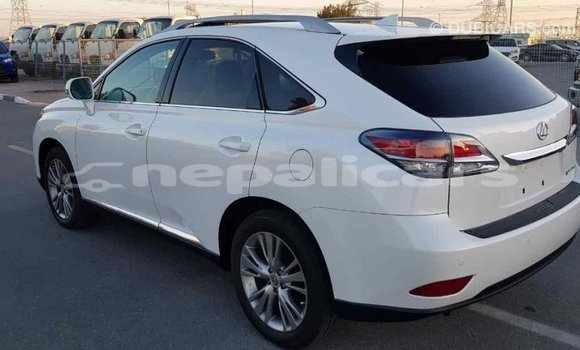 Buy Import Lexus RX 350 White Car in Import - Dubai in Bagmati Buy Import Lexus RX 350 White Car in Import - Dubai in Bagmati