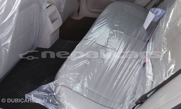 Buy Import Volkswagen Passat Blue Car in Import - Dubai in Bagmati Buy Import Volkswagen Passat Blue Car in Import - Dubai in Bagmati