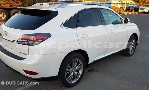 Buy Import Lexus RX 350 White Car in Import - Dubai in Bagmati Buy Import Lexus RX 350 White Car in Import - Dubai in Bagmati