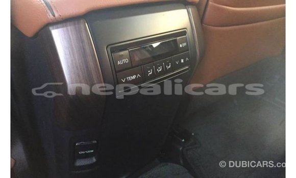 Buy Import Toyota Prado Black Car in Import - Dubai in Bagmati Buy Import Toyota Prado Black Car in Import - Dubai in Bagmati