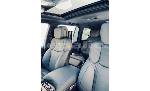 Buy Import Lexus LX Black Car in Import - Dubai in Bagmati Buy Import Lexus LX Black Car in Import - Dubai in Bagmati