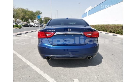 Buy Import Nissan Maxima Blue Car in Import - Dubai in Bagmati Buy Import Nissan Maxima Blue Car in Import - Dubai in Bagmati