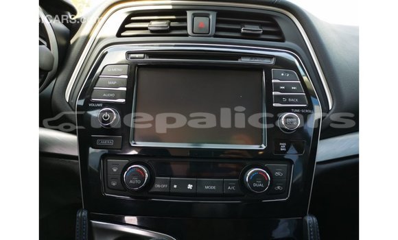 Buy Import Nissan Maxima Blue Car in Import - Dubai in Bagmati Buy Import Nissan Maxima Blue Car in Import - Dubai in Bagmati