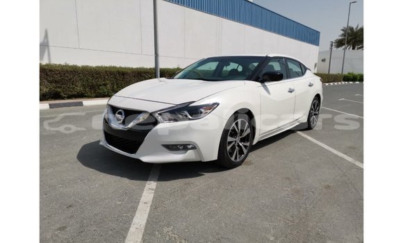 Buy Import Nissan Maxima White Car in Import - Dubai in Bagmati Buy Import Nissan Maxima White Car in Import - Dubai in Bagmati