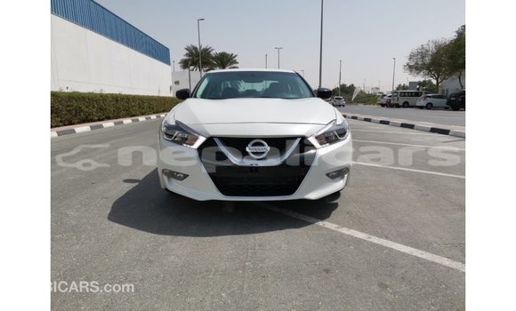 Buy Import Nissan Maxima White Car in Import - Dubai in Bagmati Buy Import Nissan Maxima White Car in Import - Dubai in Bagmati
