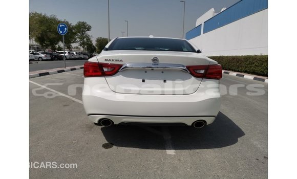 Buy Import Nissan Maxima White Car in Import - Dubai in Bagmati Buy Import Nissan Maxima White Car in Import - Dubai in Bagmati