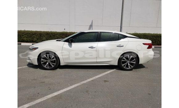 Buy Import Nissan Maxima White Car in Import - Dubai in Bagmati Buy Import Nissan Maxima White Car in Import - Dubai in Bagmati