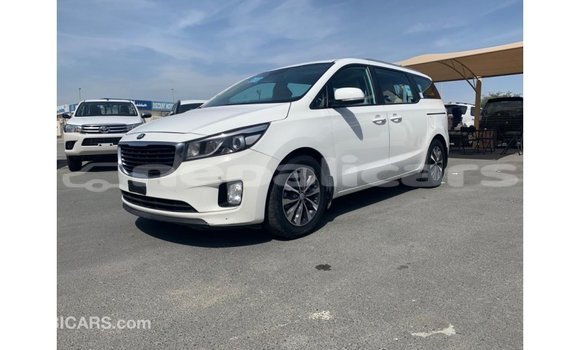 Buy Import Kia Carnival White Car in Import - Dubai in Bagmati Buy Import Kia Carnival White Car in Import - Dubai in Bagmati