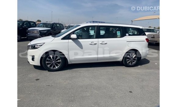 Buy Import Kia Carnival White Car in Import - Dubai in Bagmati Buy Import Kia Carnival White Car in Import - Dubai in Bagmati