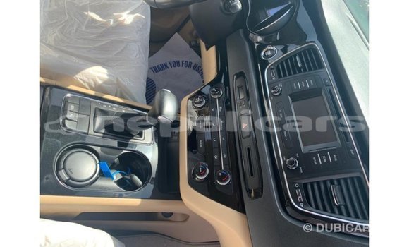 Buy Import Kia Carnival White Car in Import - Dubai in Bagmati Buy Import Kia Carnival White Car in Import - Dubai in Bagmati