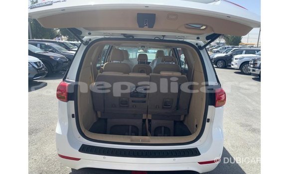 Buy Import Kia Carnival White Car in Import - Dubai in Bagmati Buy Import Kia Carnival White Car in Import - Dubai in Bagmati
