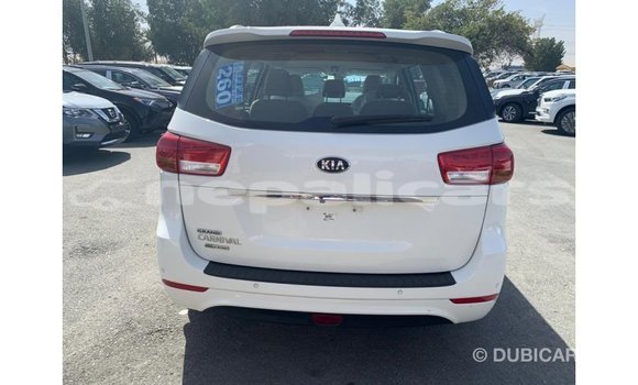 Buy Import Kia Carnival White Car in Import - Dubai in Bagmati Buy Import Kia Carnival White Car in Import - Dubai in Bagmati