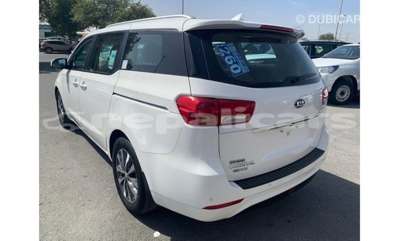 Buy Import Kia Carnival White Car in Import - Dubai in Bagmati Buy Import Kia Carnival White Car in Import - Dubai in Bagmati