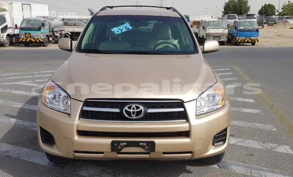 Buy Import Toyota RAV4 Other Car in Import - Dubai in Bagmati Buy Import Toyota RAV4 Other Car in Import - Dubai in Bagmati