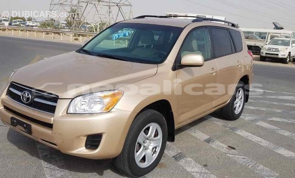 Buy Import Toyota RAV4 Other Car in Import - Dubai in Bagmati Buy Import Toyota RAV4 Other Car in Import - Dubai in Bagmati