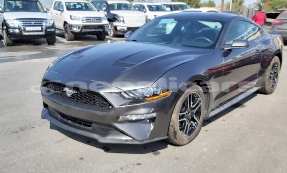 Buy Import Ford Mustang Other Car in Import - Dubai in Bagmati Buy Import Ford Mustang Other Car in Import - Dubai in Bagmati