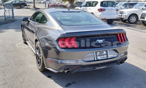 Buy Import Ford Mustang Other Car in Import - Dubai in Bagmati Buy Import Ford Mustang Other Car in Import - Dubai in Bagmati