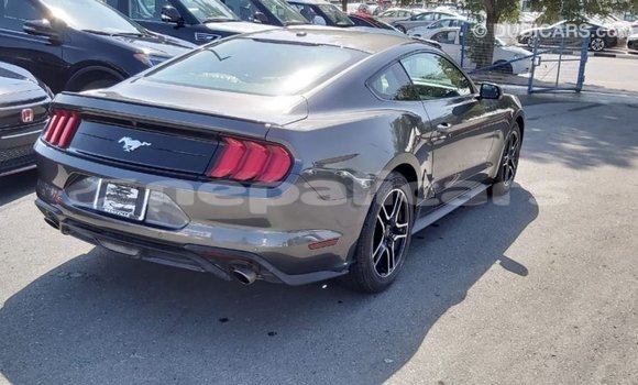 Buy Import Ford Mustang Other Car in Import - Dubai in Bagmati Buy Import Ford Mustang Other Car in Import - Dubai in Bagmati