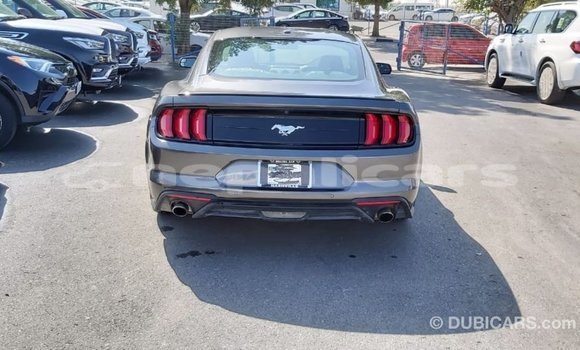 Buy Import Ford Mustang Other Car in Import - Dubai in Bagmati Buy Import Ford Mustang Other Car in Import - Dubai in Bagmati
