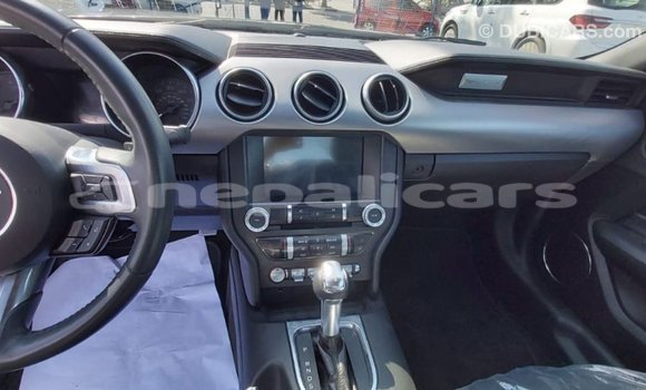 Buy Import Ford Mustang Other Car in Import - Dubai in Bagmati Buy Import Ford Mustang Other Car in Import - Dubai in Bagmati
