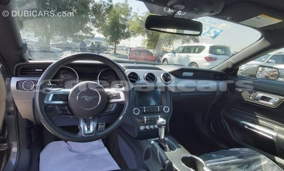 Buy Import Ford Mustang Other Car in Import - Dubai in Bagmati Buy Import Ford Mustang Other Car in Import - Dubai in Bagmati