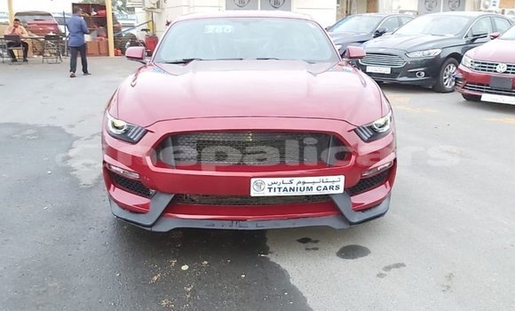 Buy Import Ford Mustang Red Car in Import - Dubai in Bagmati Buy Import Ford Mustang Red Car in Import - Dubai in Bagmati