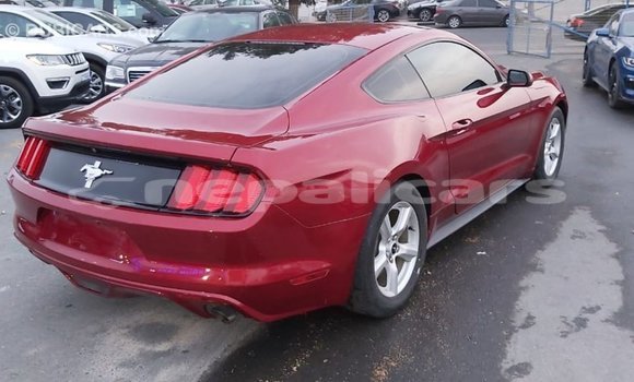 Buy Import Ford Mustang Red Car in Import - Dubai in Bagmati Buy Import Ford Mustang Red Car in Import - Dubai in Bagmati