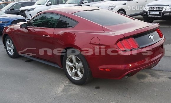 Buy Import Ford Mustang Red Car in Import - Dubai in Bagmati Buy Import Ford Mustang Red Car in Import - Dubai in Bagmati