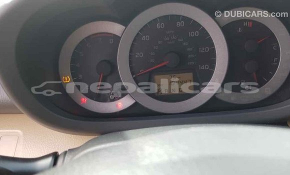 Buy Import Toyota RAV4 Other Car in Import - Dubai in Bagmati Buy Import Toyota RAV4 Other Car in Import - Dubai in Bagmati