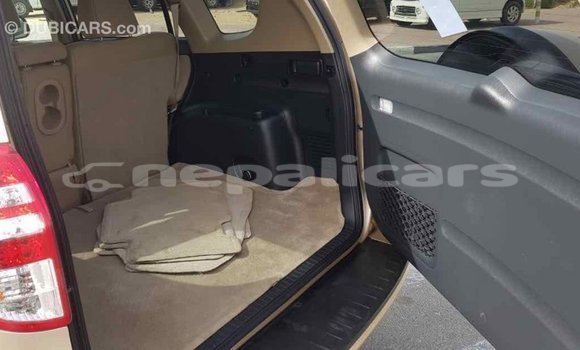 Buy Import Toyota RAV4 Other Car in Import - Dubai in Bagmati Buy Import Toyota RAV4 Other Car in Import - Dubai in Bagmati