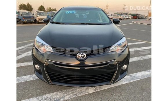 Buy Import Toyota Corolla Black Car in Import - Dubai in Bagmati Buy Import Toyota Corolla Black Car in Import - Dubai in Bagmati