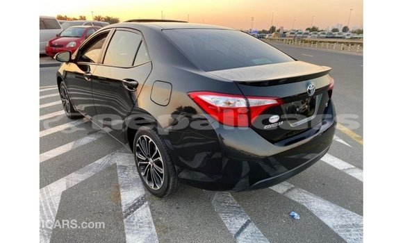 Buy Import Toyota Corolla Black Car in Import - Dubai in Bagmati Buy Import Toyota Corolla Black Car in Import - Dubai in Bagmati