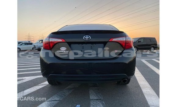 Buy Import Toyota Corolla Black Car in Import - Dubai in Bagmati Buy Import Toyota Corolla Black Car in Import - Dubai in Bagmati