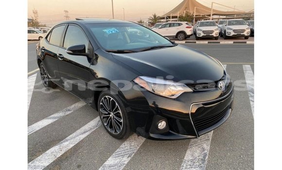 Buy Import Toyota Corolla Black Car in Import - Dubai in Bagmati Buy Import Toyota Corolla Black Car in Import - Dubai in Bagmati