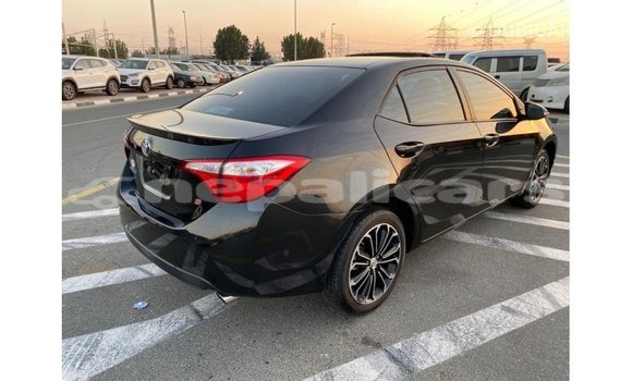 Buy Import Toyota Corolla Black Car in Import - Dubai in Bagmati Buy Import Toyota Corolla Black Car in Import - Dubai in Bagmati