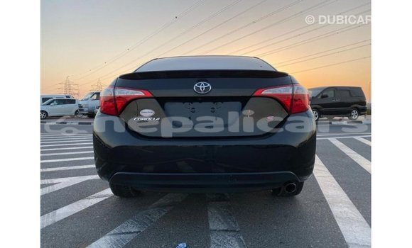 Buy Import Toyota Corolla Black Car in Import - Dubai in Bagmati Buy Import Toyota Corolla Black Car in Import - Dubai in Bagmati