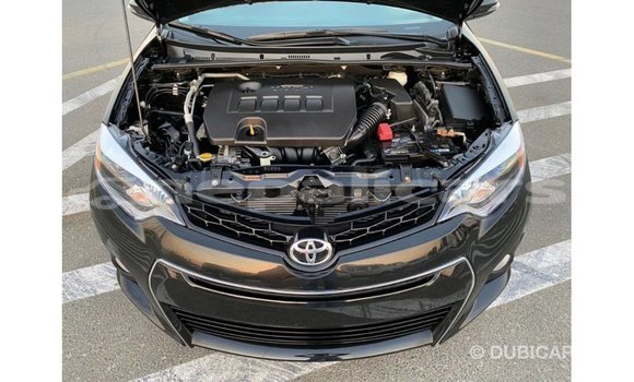 Buy Import Toyota Corolla Black Car in Import - Dubai in Bagmati Buy Import Toyota Corolla Black Car in Import - Dubai in Bagmati
