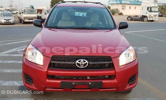 Buy Import Toyota RAV4 Red Car in Import - Dubai in Bagmati Buy Import Toyota RAV4 Red Car in Import - Dubai in Bagmati