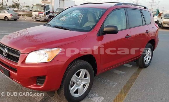 Buy Import Toyota RAV4 Red Car in Import - Dubai in Bagmati Buy Import Toyota RAV4 Red Car in Import - Dubai in Bagmati