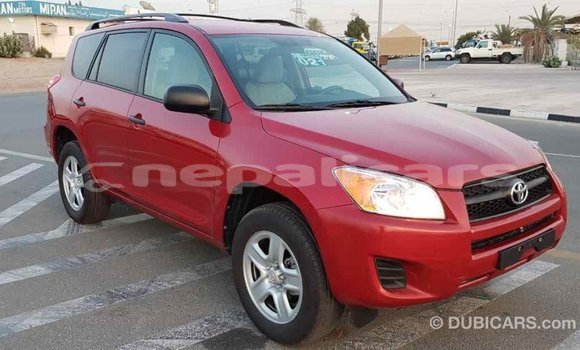 Buy Import Toyota RAV4 Red Car in Import - Dubai in Bagmati Buy Import Toyota RAV4 Red Car in Import - Dubai in Bagmati