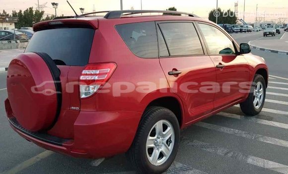 Buy Import Toyota RAV4 Red Car in Import - Dubai in Bagmati Buy Import Toyota RAV4 Red Car in Import - Dubai in Bagmati