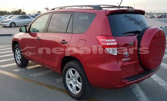 Buy Import Toyota RAV4 Red Car in Import - Dubai in Bagmati Buy Import Toyota RAV4 Red Car in Import - Dubai in Bagmati