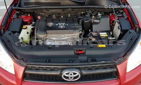 Buy Import Toyota RAV4 Red Car in Import - Dubai in Bagmati Buy Import Toyota RAV4 Red Car in Import - Dubai in Bagmati