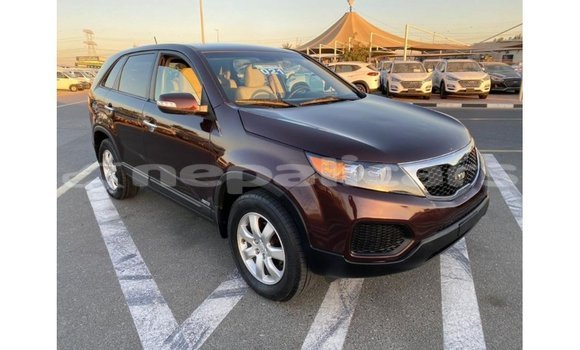 Buy Import Kia Sorento Brown Car in Import - Dubai in Bagmati Buy Import Kia Sorento Brown Car in Import - Dubai in Bagmati