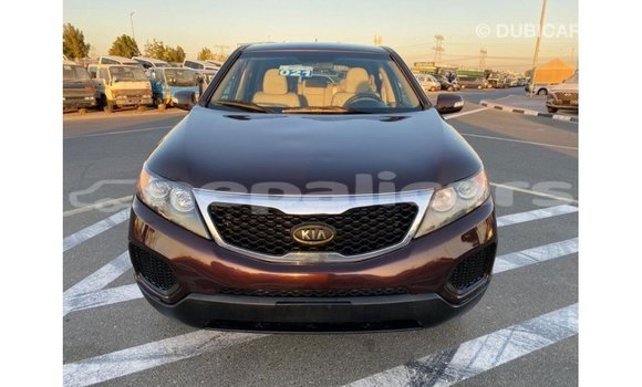 Buy Import Kia Sorento Brown Car in Import - Dubai in Bagmati Buy Import Kia Sorento Brown Car in Import - Dubai in Bagmati