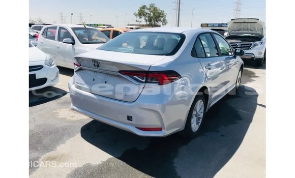 Buy Import Toyota Corolla White Car in Import - Dubai in Bagmati Buy Import Toyota Corolla White Car in Import - Dubai in Bagmati