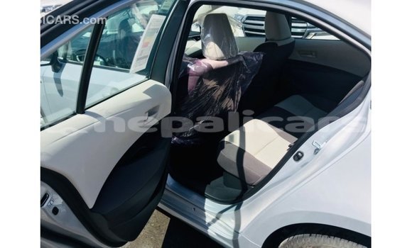 Buy Import Toyota Corolla White Car in Import - Dubai in Bagmati Buy Import Toyota Corolla White Car in Import - Dubai in Bagmati