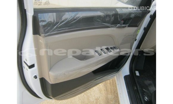 Buy Import Hyundai Elantra White Car in Import - Dubai in Bagmati Buy Import Hyundai Elantra White Car in Import - Dubai in Bagmati