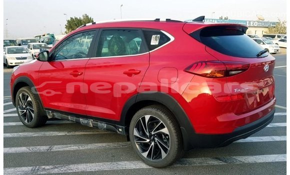 Buy Import Hyundai Tucson Red Car in Import - Dubai in Bagmati Buy Import Hyundai Tucson Red Car in Import - Dubai in Bagmati